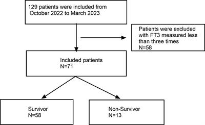 Association between dynamic fluctuations in triiodothyronine levels and prognosis among critically ill patients within comprehensive intensive care units